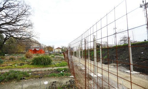Bandić opet na udaru: Botanički vrt umjesto zelenila dobiva beton