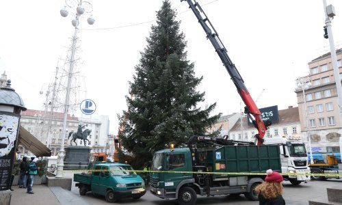 [FOTO/VIDEO] Donirani bor stigao na glavni zagrebački trg, pogledajte kako je izgledalo njegovo postavljanje