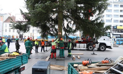 Prekrasni 20-metarski bor koji krasi glavni zagrebački trg uskoro će se naći - na sudu!