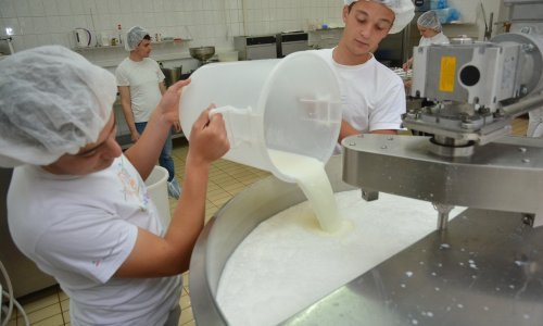 'Imat ćemo najskuplje mlijeko u Europi!'