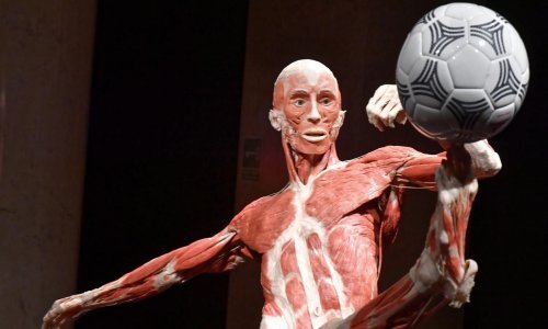 Bizarna izložba plastificiranih tijela će vas šokirati, ali i oduševiti