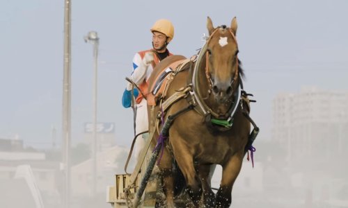 Ovo su najsporije konjske utrke na svijetu