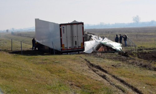 Na autocesti A3 prevrnuo se kamion prepun svinjskih polovica