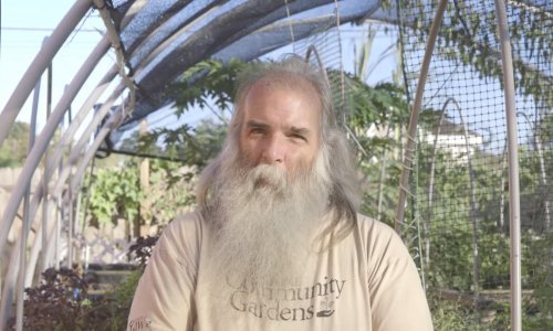 Urbani poljoprivrednik uzgaja hranu za siromašne