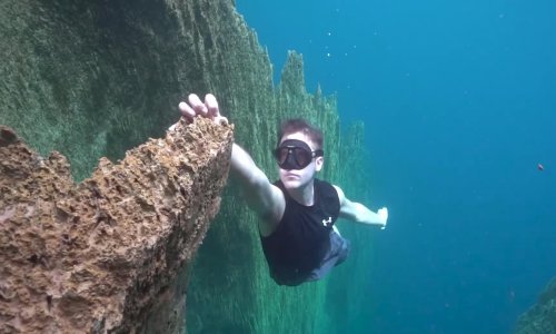 Dosadno vam je? Zabavite se uz dnevnu dozu interneta!