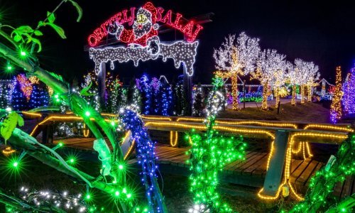 Četiri milijuna šarenih lampica: Zavirite u svjetlucavi blagdanski spektakl obitelji Salaj