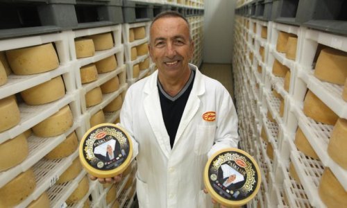 Imamo najbolji ovčji sir na svijetu