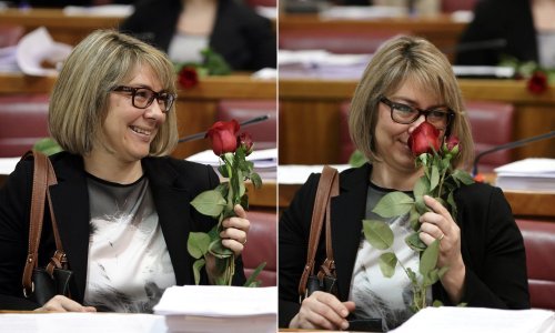Tko je Ana Komparić Devčić - liječnica koja je u SDP-ovu saborskom dresu jedva prozborila, a onda preletjela kod Bandića?