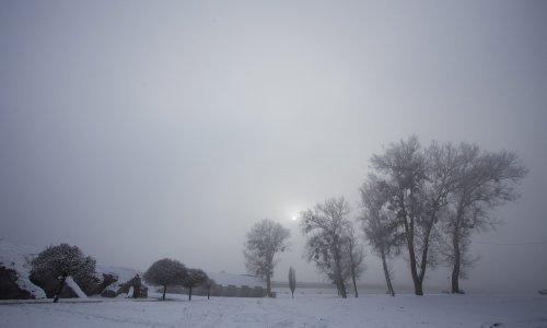 Osijek se zabijelio: Uživajte u prizorima zimske idile na obali Drave