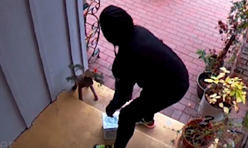 Pogledajte kako se bivši inženjer NASA-e osvetio lopovu koji mu je ukrao paket