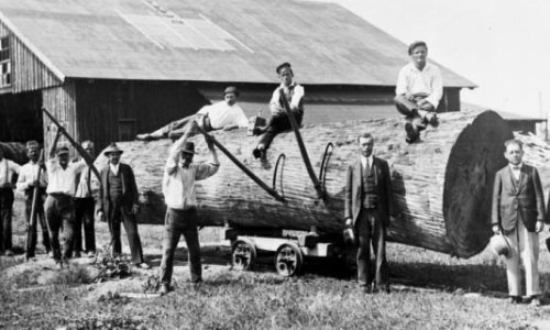 Spačva, Projekt Slavonija prije Projekta Slavonija