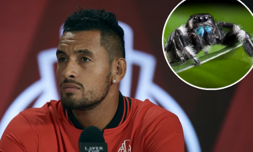 Kontroverzni tenisač Nick Kyrgios zbog ugriza na Božić završio u bolnici