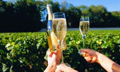 Raste izvoz domaćih pjenušaca, ali još uvijek uvozimo mnogo više