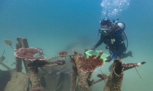 Ovo je sedam uzbudljivijih ekspedicija i misija koje će razotkriti najveće misterije Zemlje