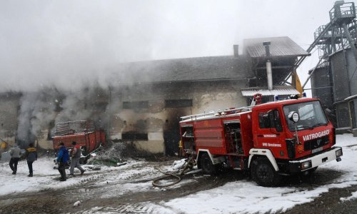 Bale konoplje na Eko imanju Željka Mavrovića zapalile se zbog kvara na električnim instalacijama