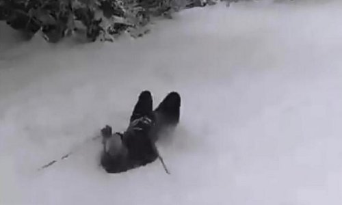 Što radi Dalmatinac na skijanju? Pa, skija. Kako? Pomalo...