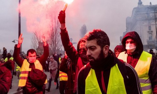 komentar senade šelo šabić