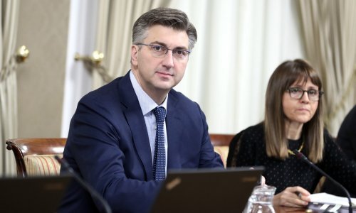 Vlada će tijekom godine predložiti više od 100 zakona