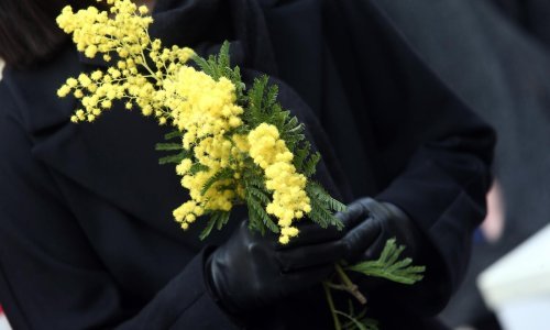 Umjetna inteligencija bolje dijagnosticira rak vrata maternice od ljudi i Papa testa