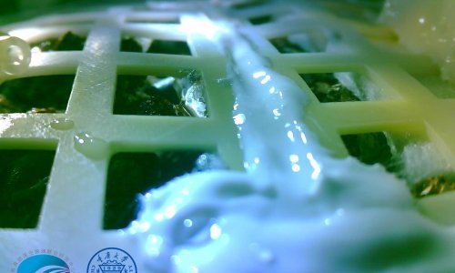 Made in China: Proklijalo sjeme pamuka koje Kinezi uzgajaju na tamnoj strani Mjeseca