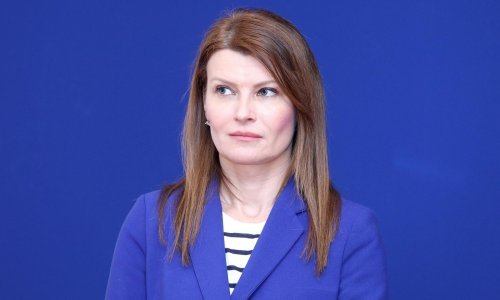 SDP i HNS šalju Zakon o udomiteljstvu na Ustavni sud