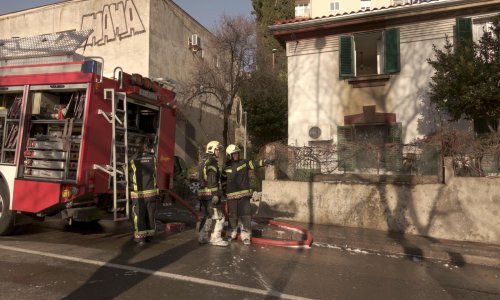 Na Cresu prva međunarodna vježba gašenja šumskih požara u EU