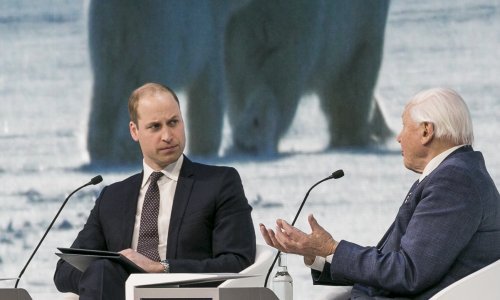 Je li se to princ William pojavio s rupom na cipeli?