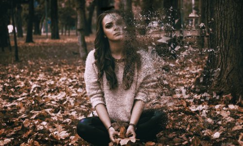 Znate li što je Lavlja griva - gljiva koja tjera depresiju i vraća dobro raspoloženje?