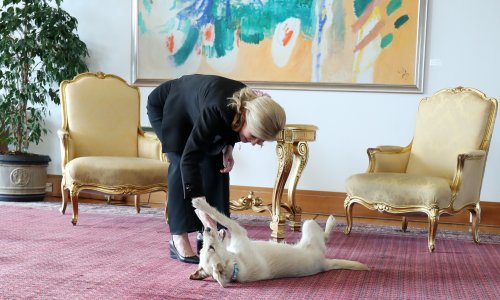 Predsjednica ponovno otvorila vrata Pantovčaka, pogledajte tko je posebno zaokupio njenu pažnju