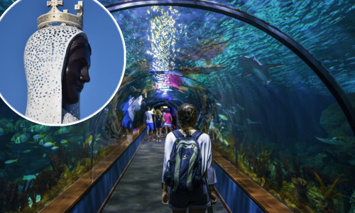 Nakon divovske Gospe Primošten dobiva još jednu atrakciju - podmorski panoramski tunel