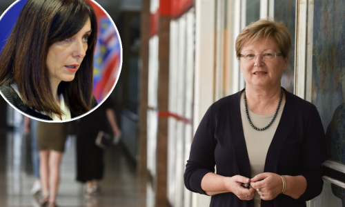 Tportal doznaje što je ministrica Divjak ponudila fakultetima u zamjenu za besplatnu provjeru diploma