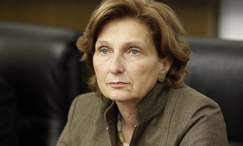 Ana Lovrin: Kao zapeta puška čekamo zakon, sve imamo pripremljeno