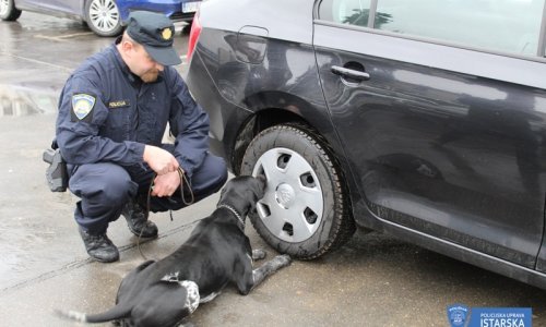 Duks u podrumu nanjušio više od pola kilograma marihuane