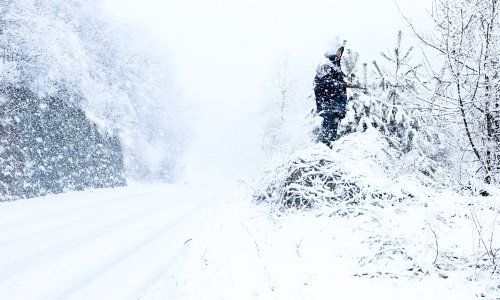 Snijeg prouzročio prometni kolaps u BiH: Na cestama nanosi, ralice opet kasne