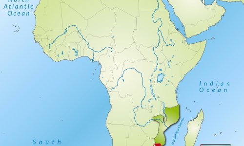 Deseci ubijeni blizu plinskog polja u Mozambika, a tisuće bježe