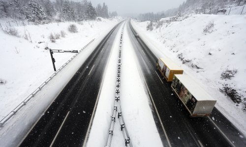 HAK upozorava: Na autocesti A1 uočen vuk!