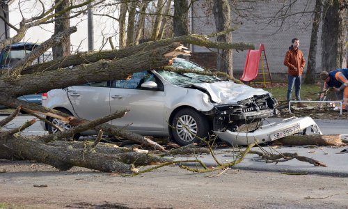 Stablo kestena palo na auto u pokretu u Trnjanima