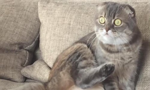 Nasmijte se najvećim failovima prošlog tjedna