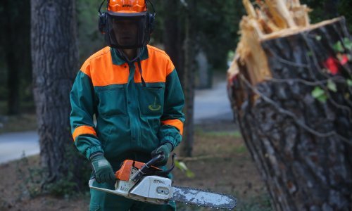 Pobuna u Hrvatskim šumama: Umjesto da dobiju otpremninu, radnike šalju na pregled u privatnu kliniku!?