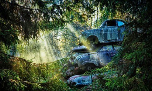 Groblja automobila imaju neobičnu ljepotu