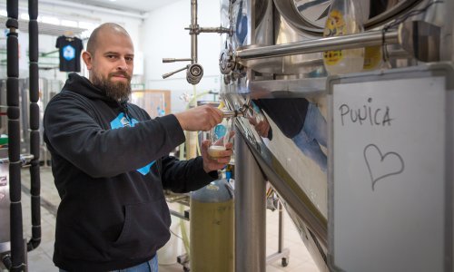 Splićani napravili najbolje hrvatsko pivo, kuhaju nova: 'Punica će biti blaga, a Svekrva slađa, varljiva. Ona brže udara u glavu'
