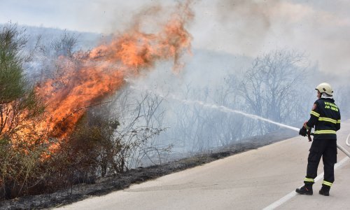 Uz autocestu od Gospića do Gornje Ploče požar niskog raslinja