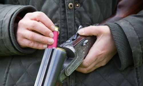 Pucao iz poluatomatske puške i prijetio majci