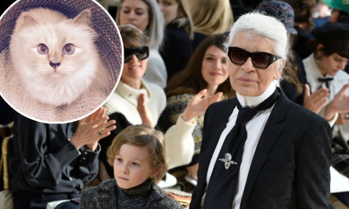 Tko će naslijediti 172 milijuna eura - Lagerfeldova mačka Choupette ili njegovo kumče?