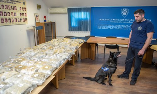 Mješanka ovčara i labradora Molly uhvatila dilere kod Metkovića, 'pali' sa 61 kilogramom marihuane