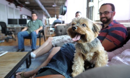 Kako to rade vani: četiri dana na poslu, tri slobodna, a plaća ista