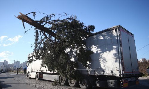 Krš i lom u Dalmaciji: orkanska bura ne posustaje ni u subotu, na tegljač usred vožnje pao bor