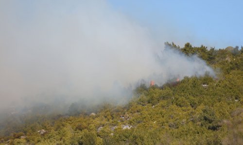 Kad spaljujete korov pazite da ne izazovete požar!