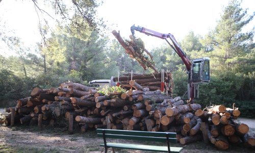 Počela sanacija splitskog Marjana, pošumljavanje na jesen