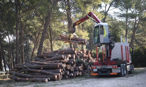 Podnesene četiri kaznene prijave zbog Park šume Marjan